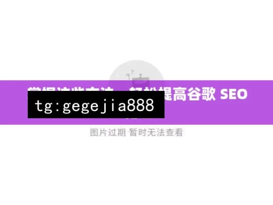 掌握这些方法，轻松提高谷歌 SEO 排名，掌握方法轻松提升谷歌SEO排名