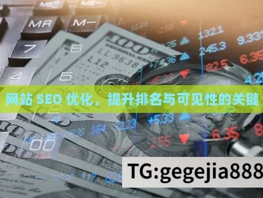 网站 SEO 优化，提升排名与可见性的关键