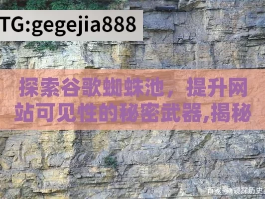 探索谷歌蜘蛛池，提升网站可见性的秘密武器,揭秘谷歌蜘蛛池，网络爬虫的神秘力量