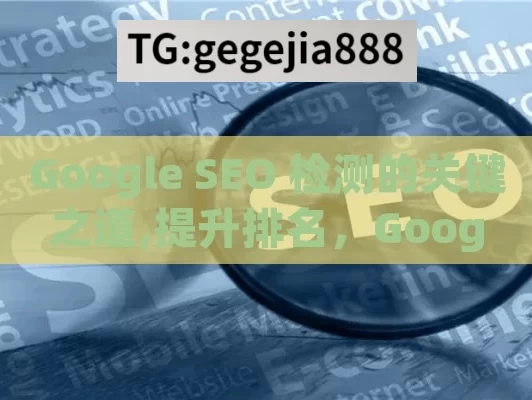 Google SEO 检测的关键之道,提升排名，Google SEO检测全解析