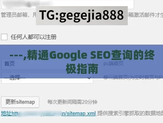 ---,精通Google SEO查询的终极指南