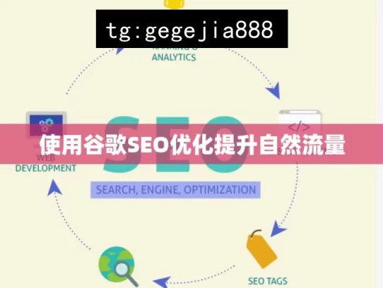 使用谷歌SEO优化提升自然流量，利用谷歌 SEO 优化增加自然流量