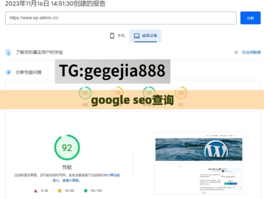 google seo查询