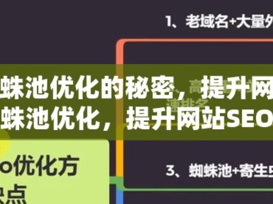 解锁谷歌蜘蛛池优化的秘密，提升网站排名揭秘谷歌蜘蛛池优化，提升网站SEO的秘诀