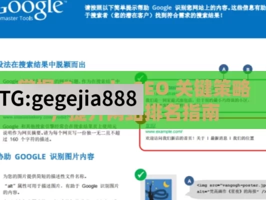 掌握 Google SEO 关键策略，提升网站排名指南