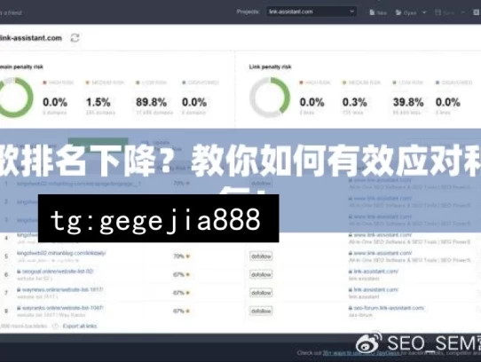 谷歌排名下降？教你如何有效应对和恢复！，应对谷歌排名下降之策