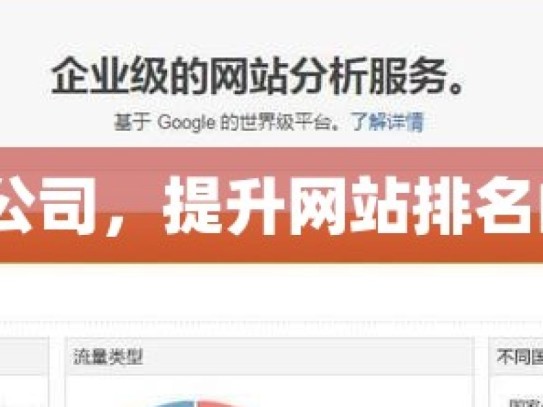 谷歌 SEO 公司，提升网站排名的秘密武器