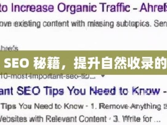 掌握谷歌 SEO 秘籍，提升自然收录的关键策略