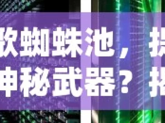 探索谷歌蜘蛛池，提升网站排名的神秘武器？揭秘谷歌蜘蛛池的神秘面纱，SEO专家的秘密武器？