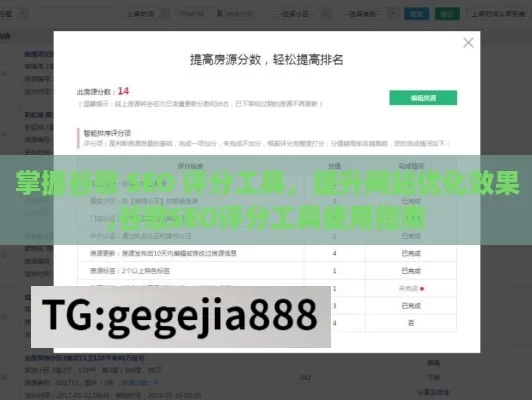 掌握谷歌 SEO 评分工具，提升网站优化效果,谷歌SEO评分工具使用指南