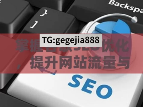 掌握谷歌SEO优化，提升网站流量与排名，掌握谷歌SEO优化，促网站流量提升