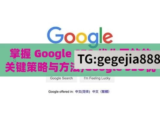 掌握 Google SEO 优化网站的关键策略与方法,Google SEO优化秘籍，提升网站排名的艺术