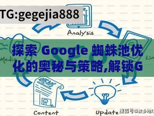 探索 Google 蜘蛛池优化的奥秘与策略,解锁Google蜘蛛池优化，提升网站排名秘籍