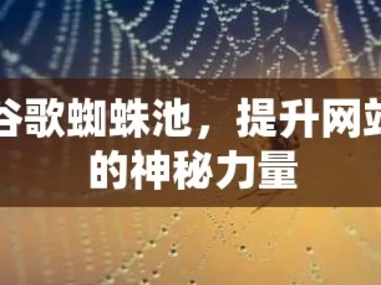 探秘谷歌蜘蛛池，提升网站排名的神秘力量