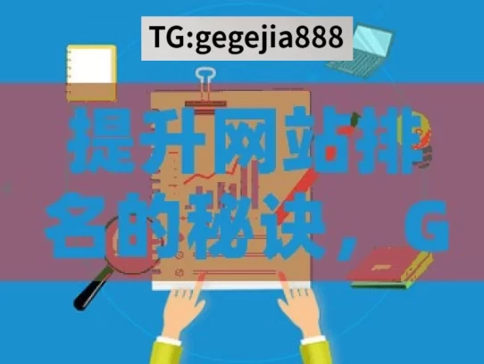 提升网站排名的秘诀，Google 蜘蛛池优化策略，提升网站排名的蜘蛛池优化秘诀