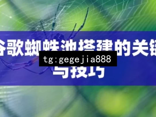 揭秘谷歌蜘蛛池搭建的关键步骤与技巧，揭秘谷歌蜘蛛池搭建之关键步骤与技巧