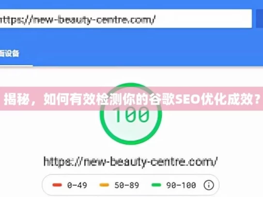揭秘，如何有效检测你的谷歌SEO优化成效？，揭秘有效检测谷歌SEO成效之法