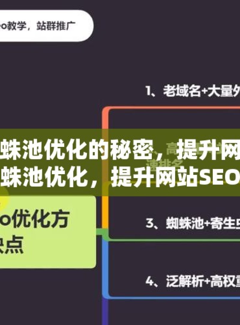 解锁谷歌蜘蛛池优化的秘密，提升网站排名揭秘谷歌蜘蛛池优化，提升网站SEO的秘诀 - 