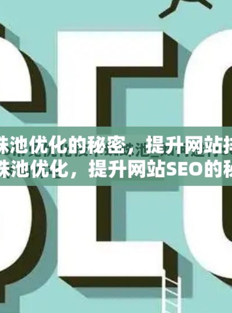 解锁谷歌蜘蛛池优化的秘密，提升网站排名揭秘谷歌蜘蛛池优化，提升网站SEO的秘诀 - 