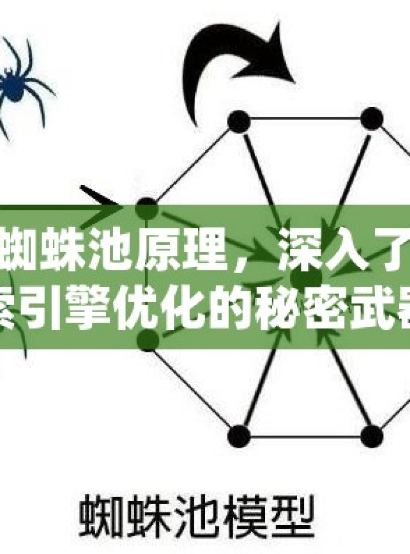 探索蜘蛛池原理，深入了解搜索引擎优化的秘密武器 - 