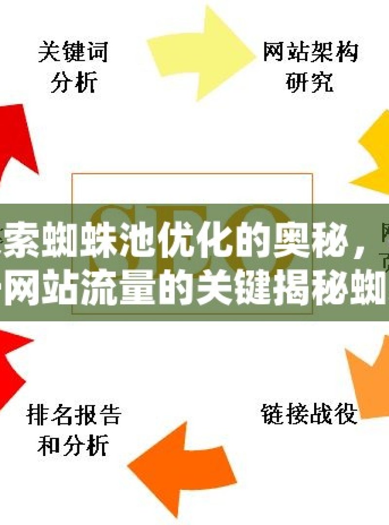 探索蜘蛛池优化的奥秘，提升网站流量的关键揭秘蜘蛛池优化，提升网站排名与流量的秘诀 - 