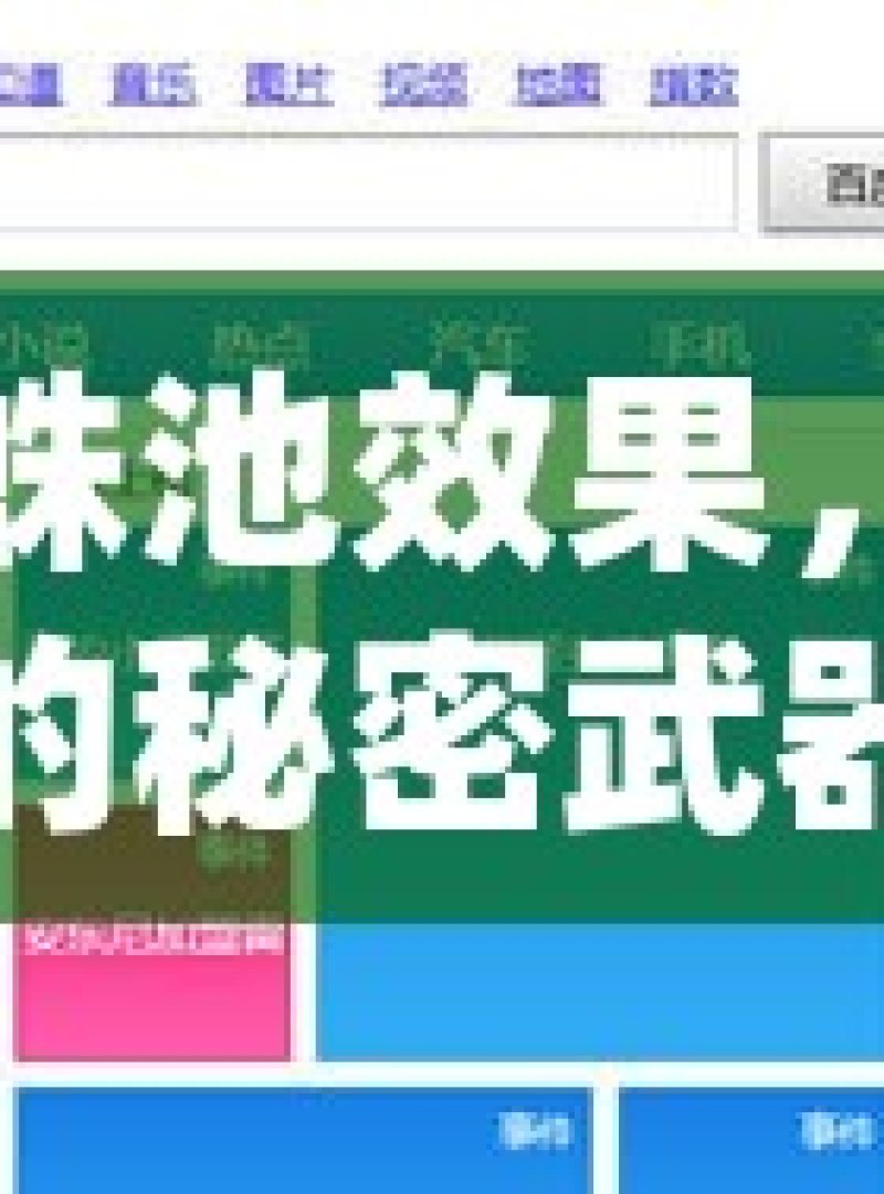 谷歌蜘蛛池效果，提升网站排名的秘密武器探索谷歌蜘蛛池软件，提升网站SEO的神秘工具 - 