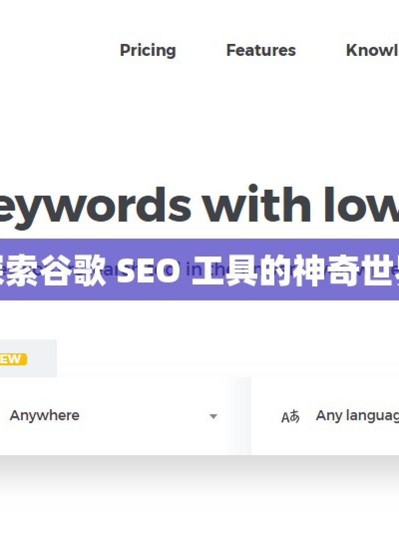 探索谷歌 SEO 工具的神奇世界 - 