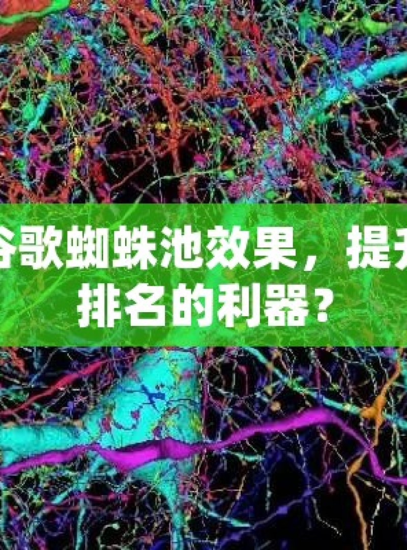 探究谷歌蜘蛛池效果，提升网站排名的利器？