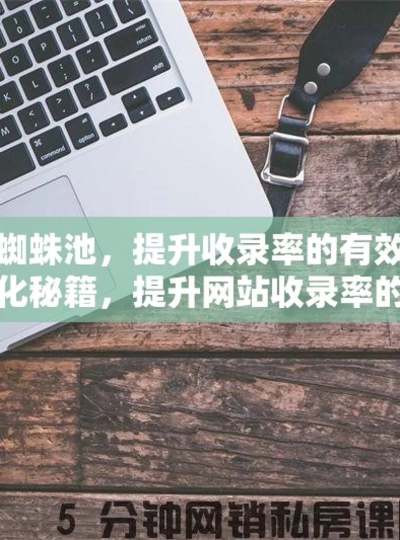 揭秘谷歌蜘蛛池，提升收录率的有效策略谷歌蜘蛛池优化秘籍，提升网站收录率的实用策略