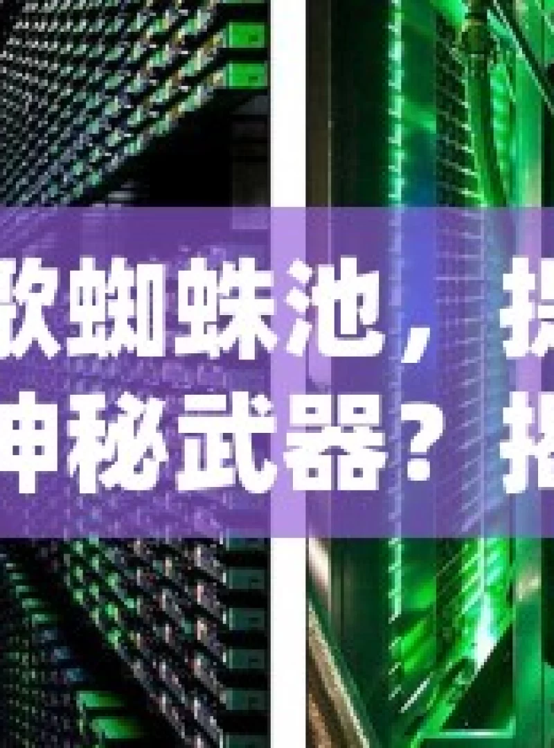 探索谷歌蜘蛛池，提升网站排名的神秘武器？揭秘谷歌蜘蛛池的神秘面纱，SEO专家的秘密武器？