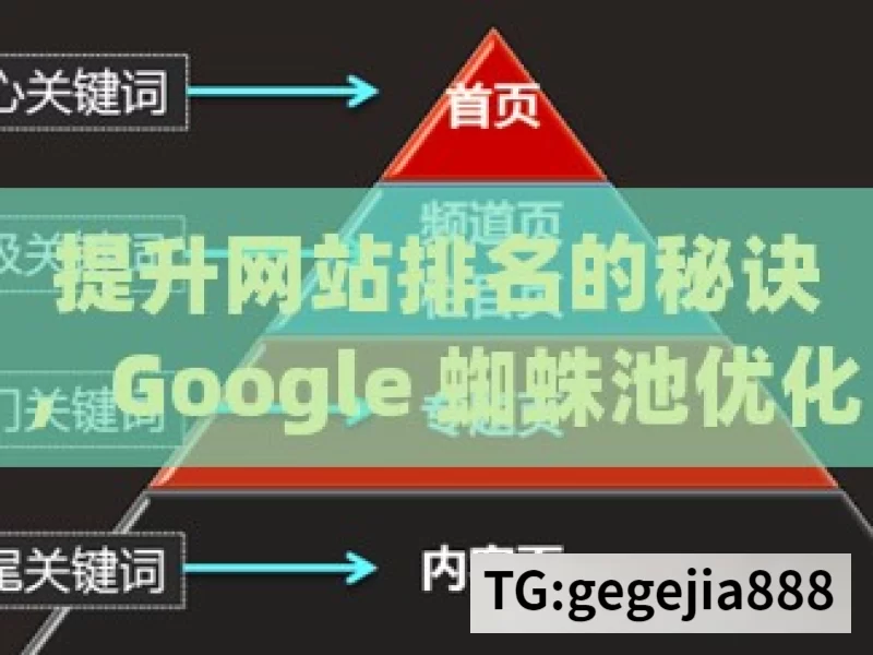 提升网站排名的秘诀，Google 蜘蛛池优化策略