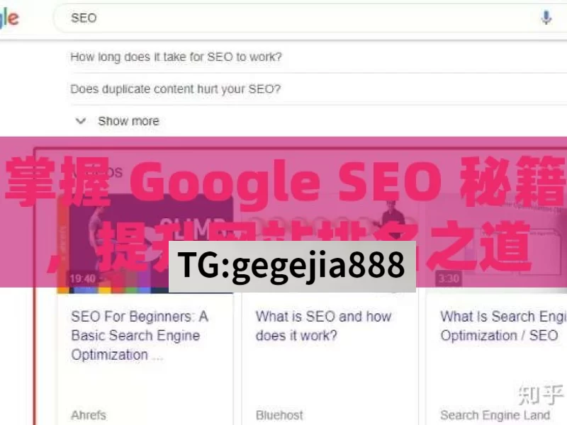 掌握 Google SEO 秘籍，提升网站排名之道