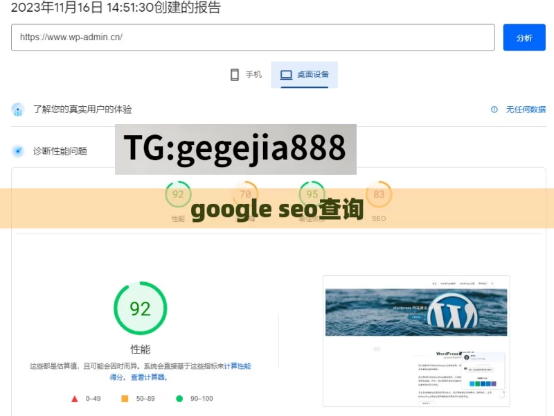 google seo查询