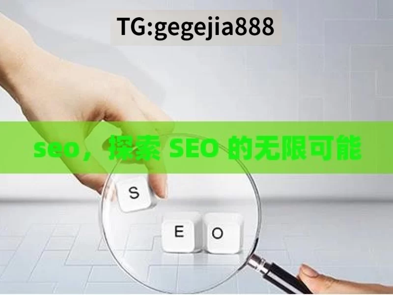 seo，探索 SEO 的无限可能