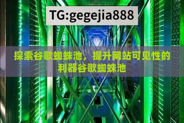 探索谷歌蜘蛛池，提升网站可见性的利器谷歌蜘蛛池