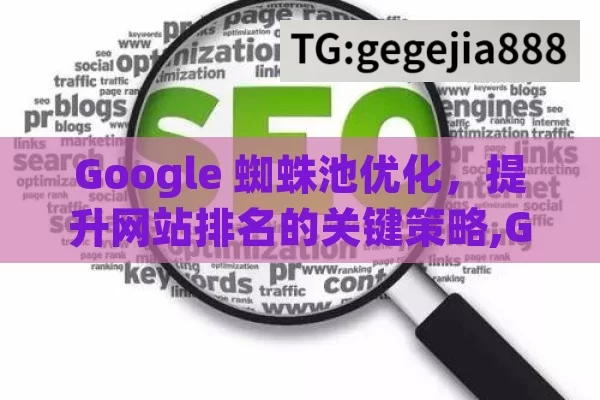 Google 蜘蛛池优化，提升网站排名的关键策略,Google蜘蛛池优化，提升网站排名的关键策略