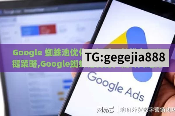 Google 蜘蛛池优化，提升网站排名的关键策略,Google蜘蛛池优化，提升网站排名的关键策略