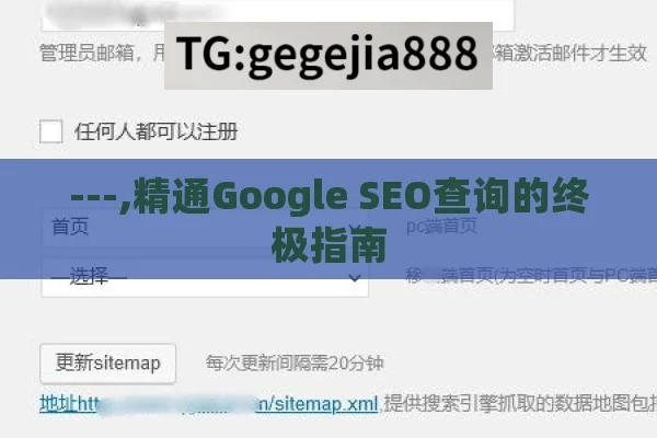 ---,精通Google SEO查询的终极指南