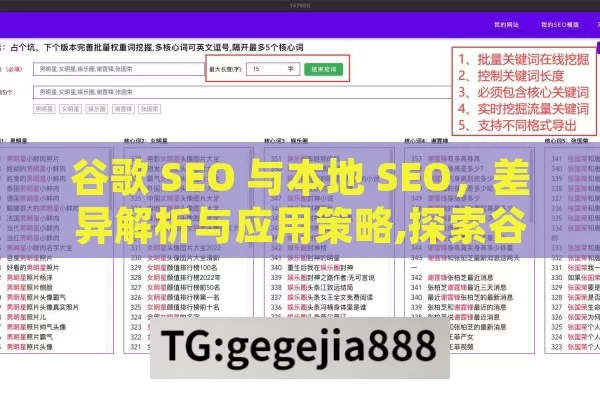 谷歌 SEO 与本地 SEO，差异解析与应用策略,探索谷歌SEO与本地SEO的差异