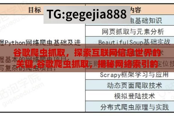 谷歌爬虫抓取，探索互联网信息世界的关键,谷歌爬虫抓取，揭秘网络索引的幕后英雄