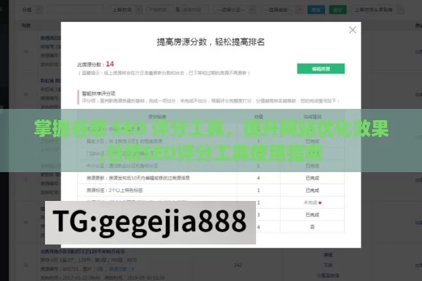 掌握谷歌 SEO 评分工具，提升网站优化效果,谷歌SEO评分工具使用指南