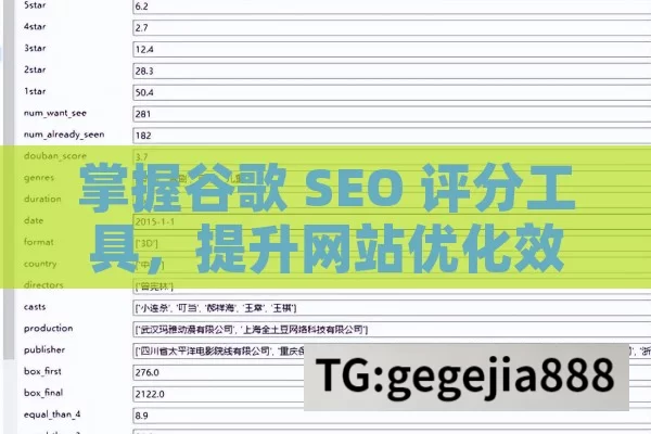 掌握谷歌 SEO 评分工具，提升网站优化效果,谷歌SEO评分工具使用指南