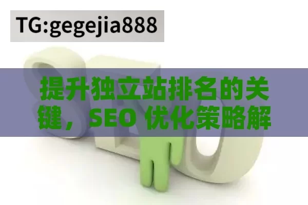 提升独立站排名的关键，SEO 优化策略解析,独立站SEO优化，提升在线可见性的关键策略