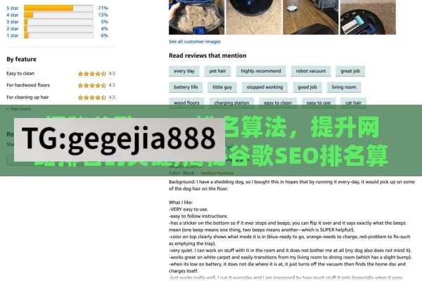 探秘谷歌 SEO 排名算法，提升网站排名的关键,揭秘谷歌SEO排名算法，掌握核心要素，提升网站排名